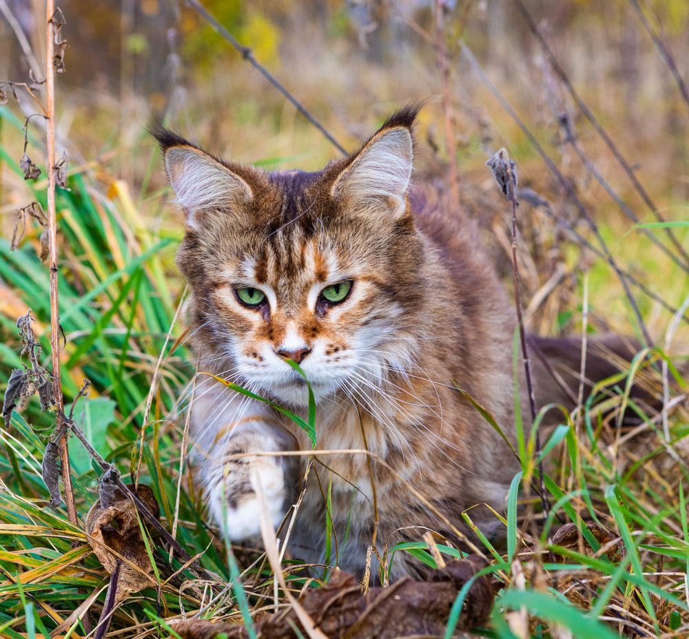 Photograph by Svetlana Porokhovnikova
