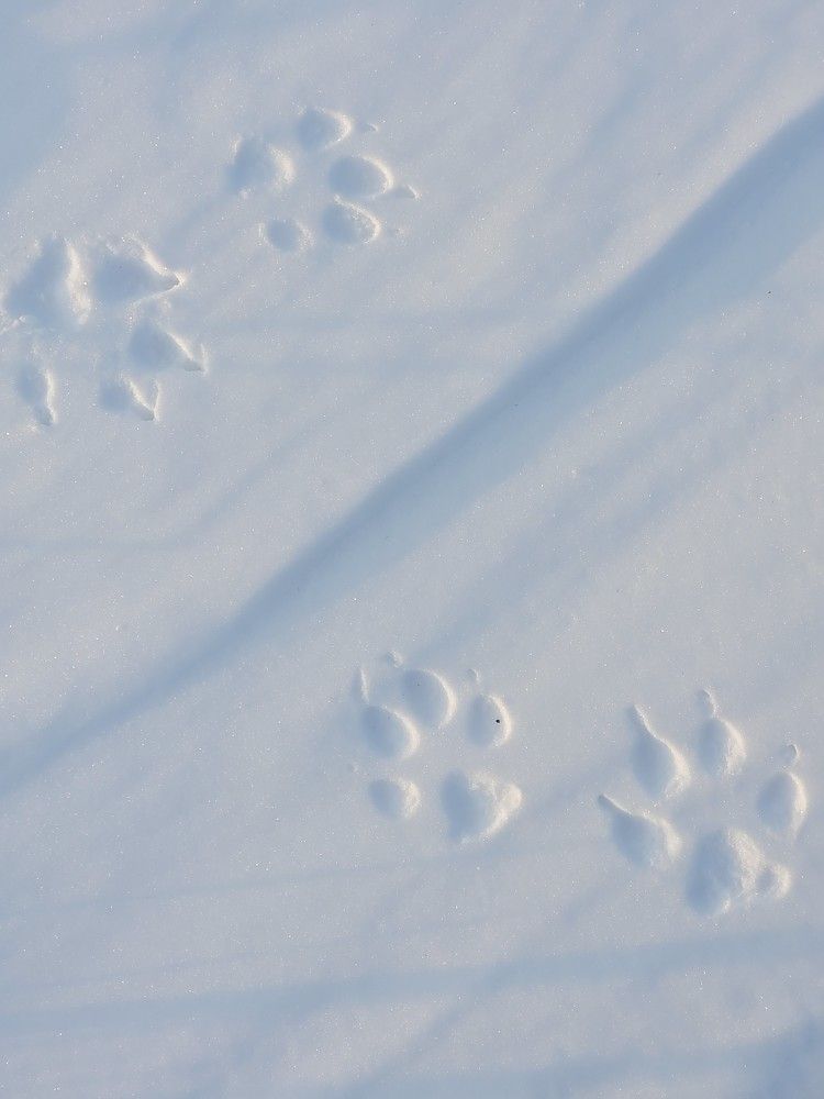 Фотография автора Казакова Людмила Ивановна