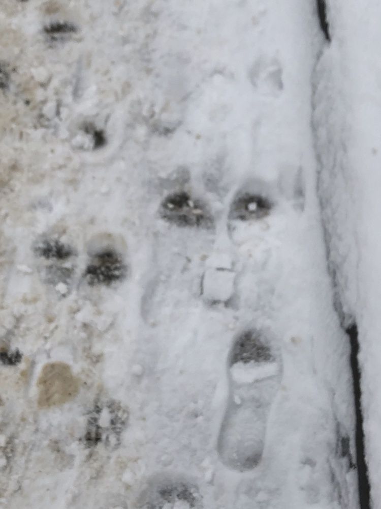 Photograph by Галина Пименова