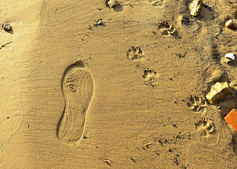 Photograph by Галина Пименова