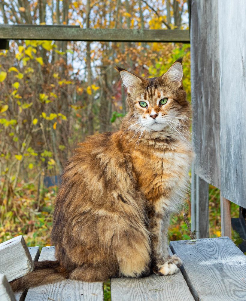 Photograph by Svetlana Porokhovnikova