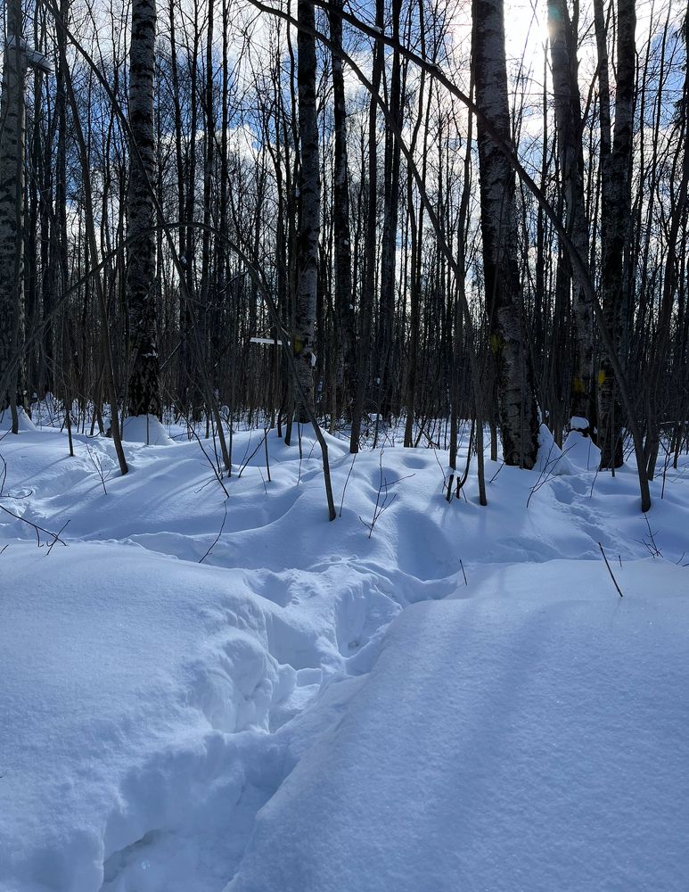 Photograph by Анатолий Протасов