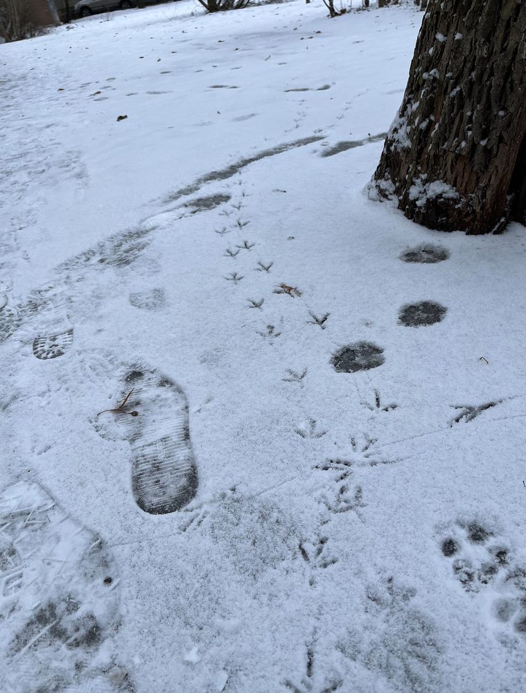 Photograph by Анатолий Протасов