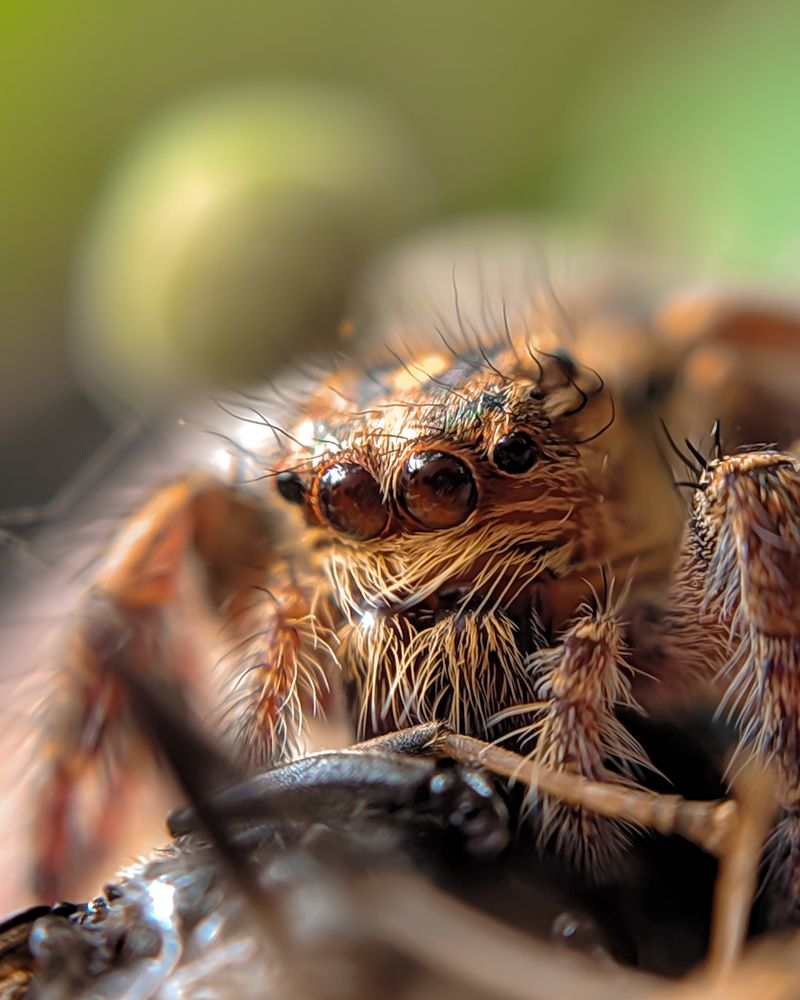 Photograph by Milinda Ashan Rajapaksha