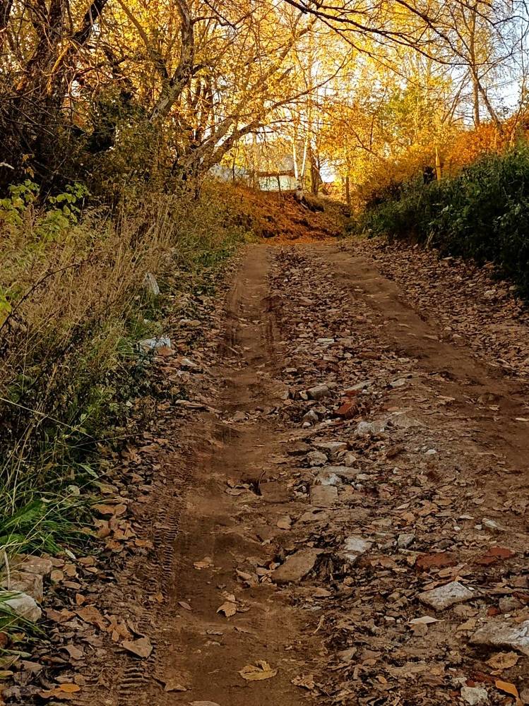 Дорога в сказку