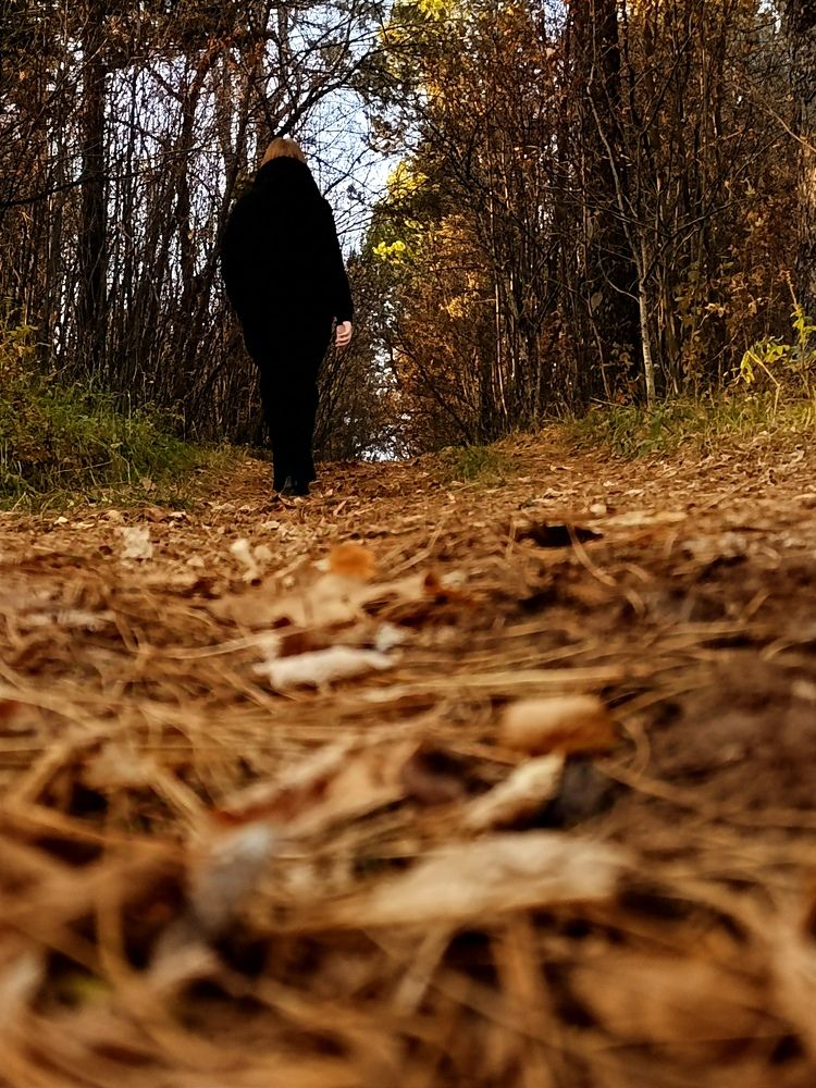 Лесная тропа