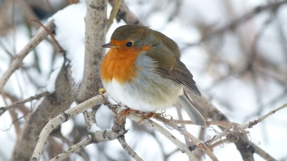 Photograph by Егор Чинарев