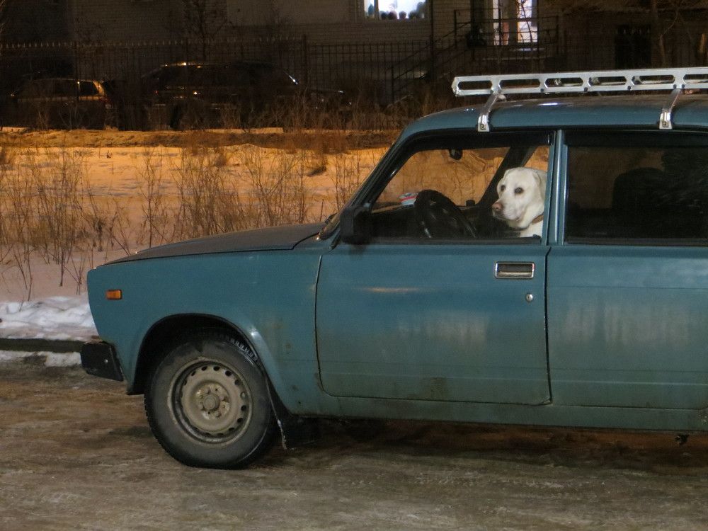 Photograph by Татьяна Поминова