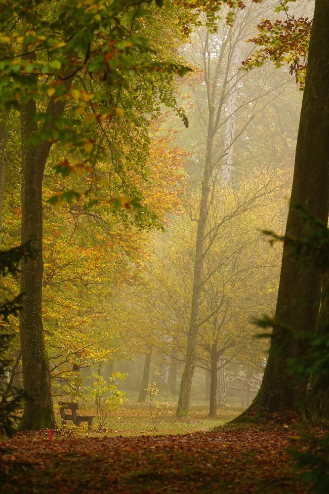 Фотография автора Liudmila Kiermeier