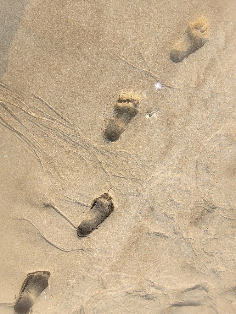 Фотография автора Казакова Людмила Ивановна