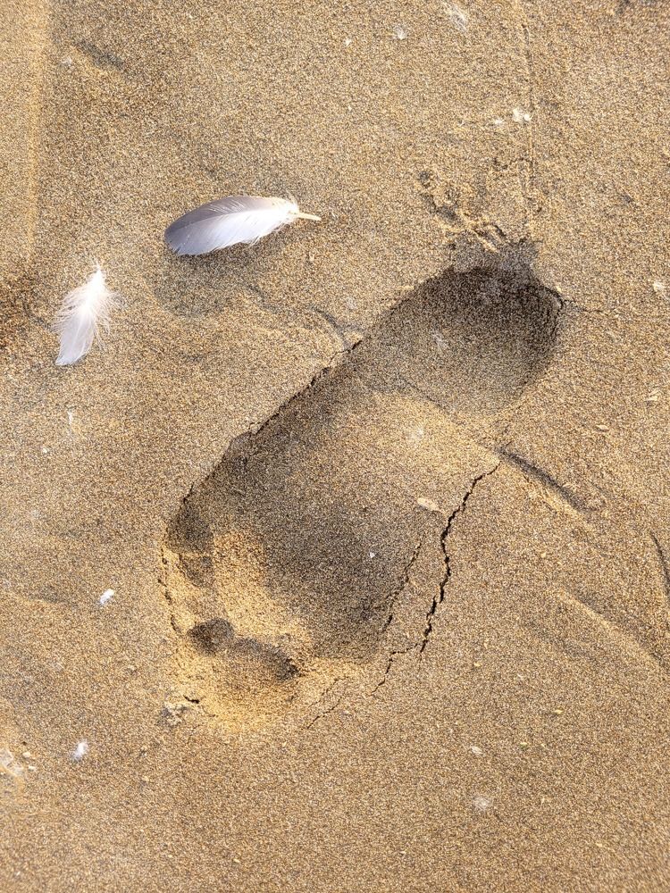 Фотография автора Казакова Людмила Ивановна