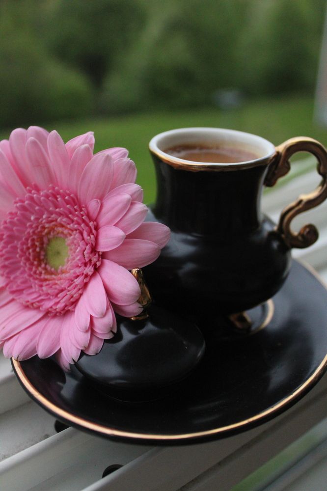 Photograph by Farah Ali