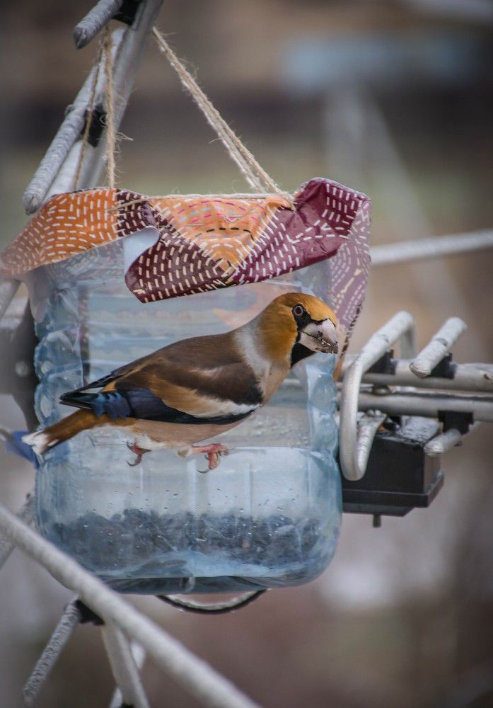 Photograph by Елена Царёва