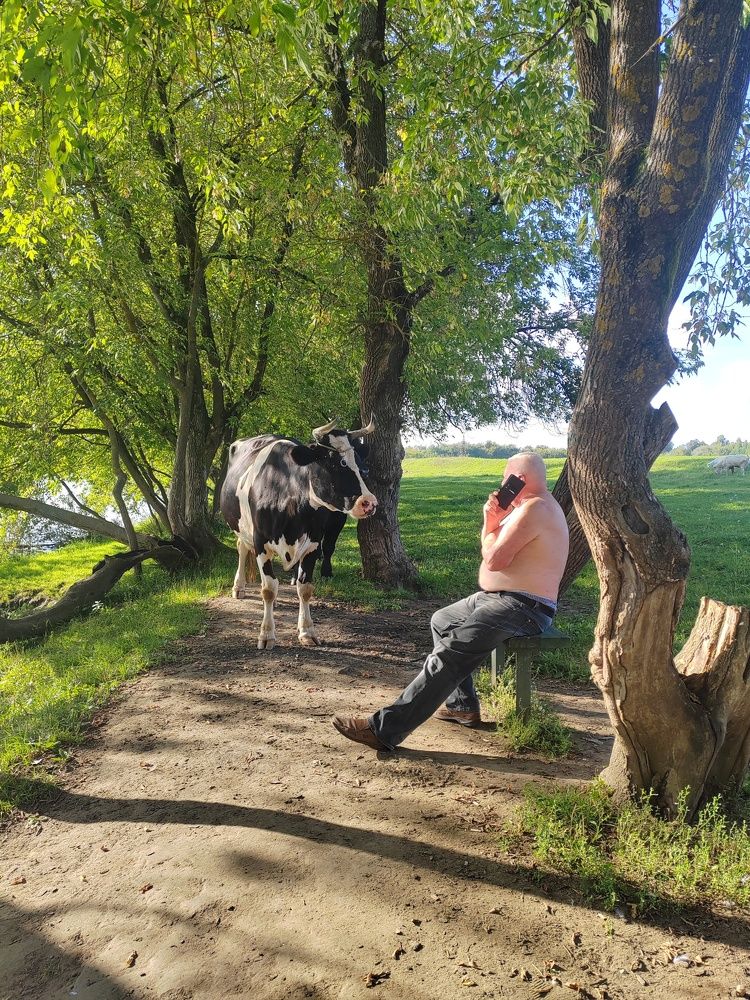 Фотография автора Татьяна Егорова