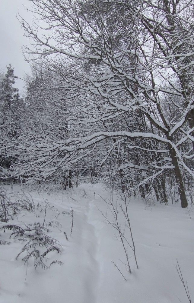 Photograph by Ия Дирко