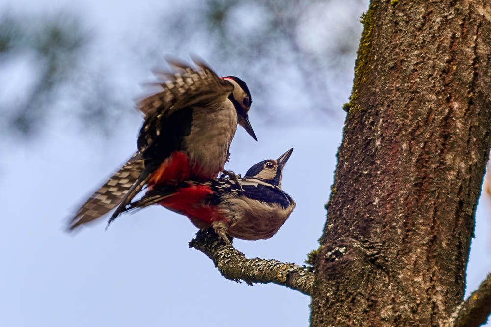 Photograph by Дмитрий Солодухин
