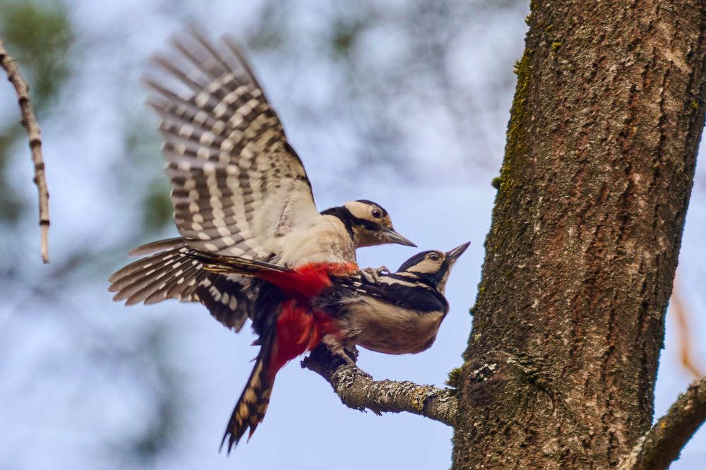 Photograph by Дмитрий Солодухин