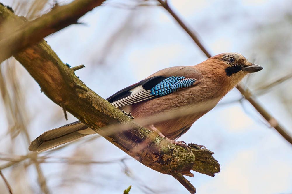 Photograph by Дмитрий Солодухин