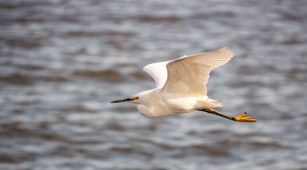 Photograph by Jorge Bagnuoli