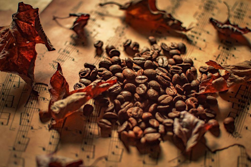 Photograph by Евгения Щеколдина