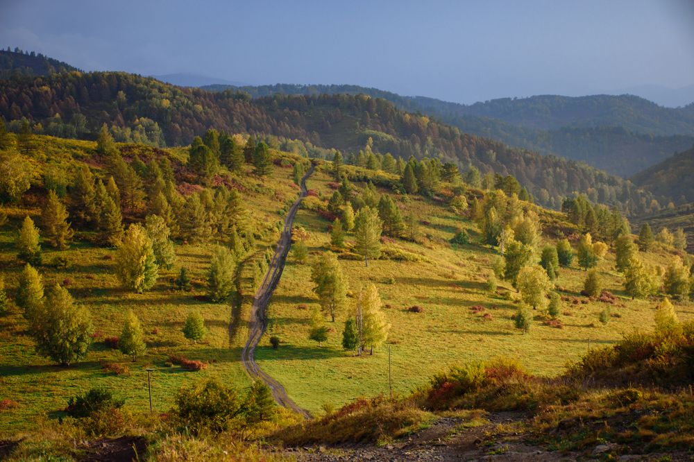 Фотография автора Эльвира Чернова