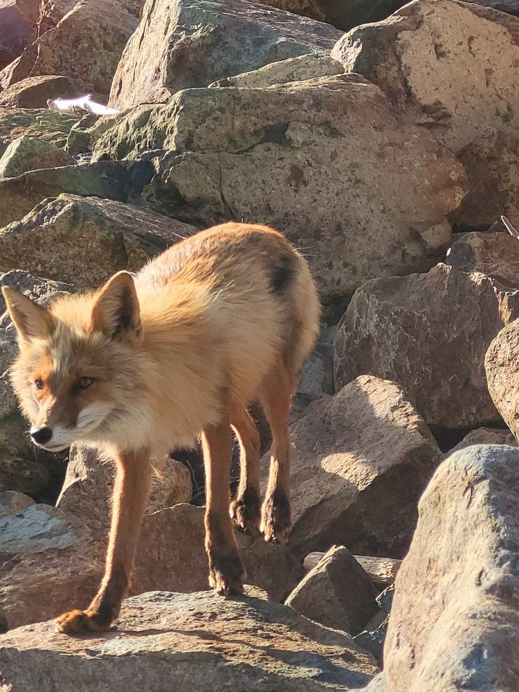 Фотография автора Казакова Людмила Ивановна