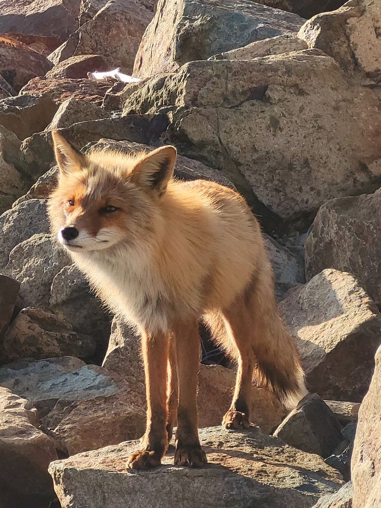 Фотография автора Казакова Людмила Ивановна