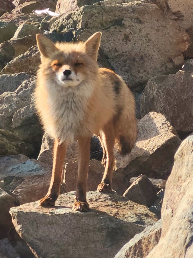 Фотография автора Казакова Людмила Ивановна