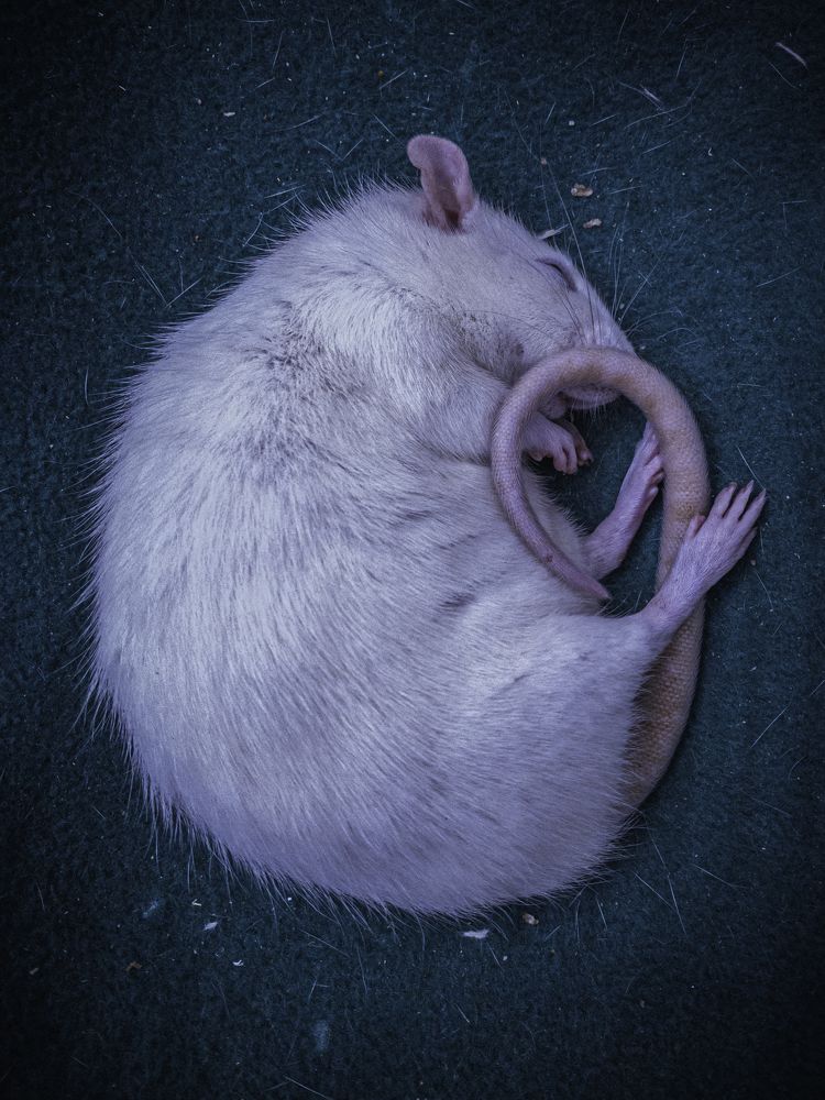 Photograph by Хавронина Марина