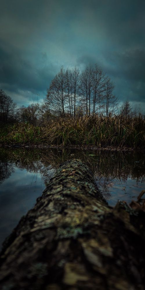Photograph by Ildar Huzhin