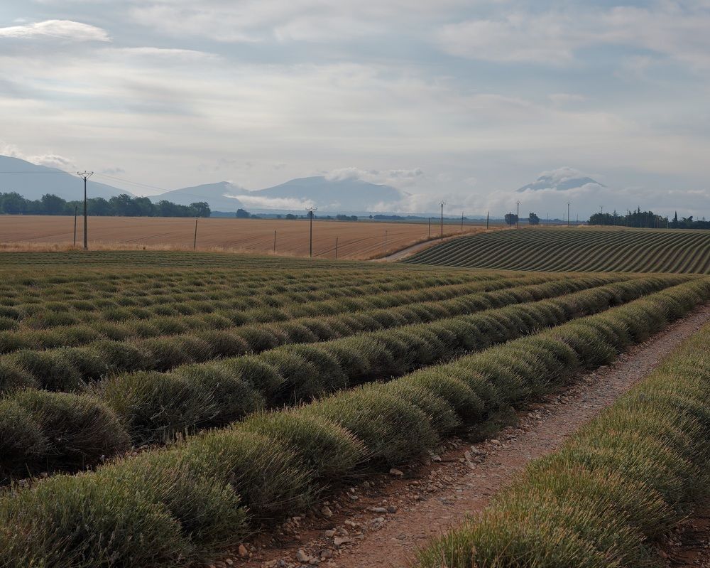 Photograph by Marina Odintsova