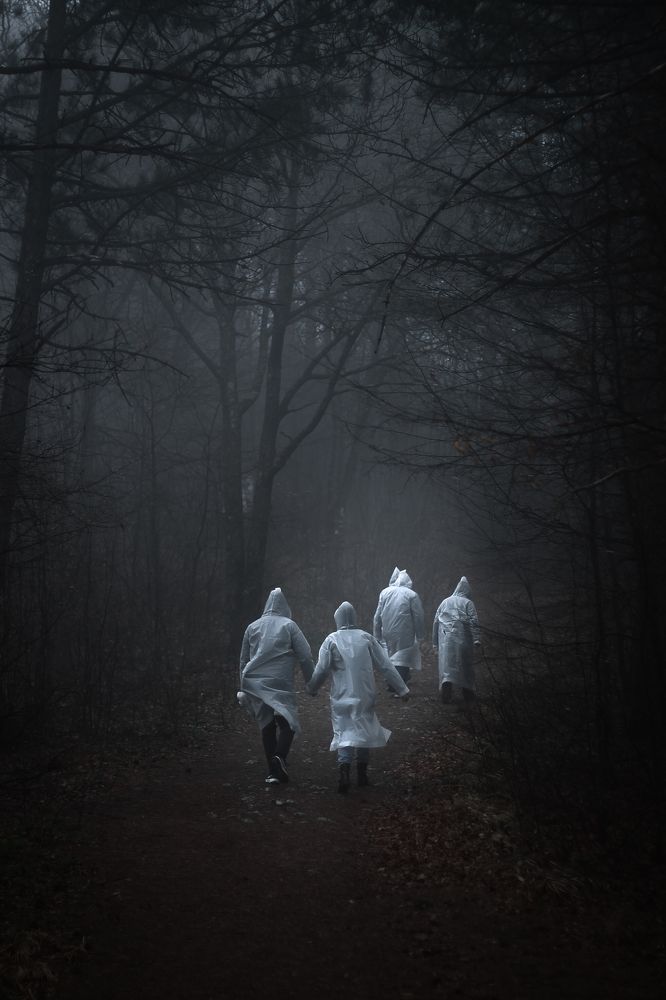 Photograph by evgeniy