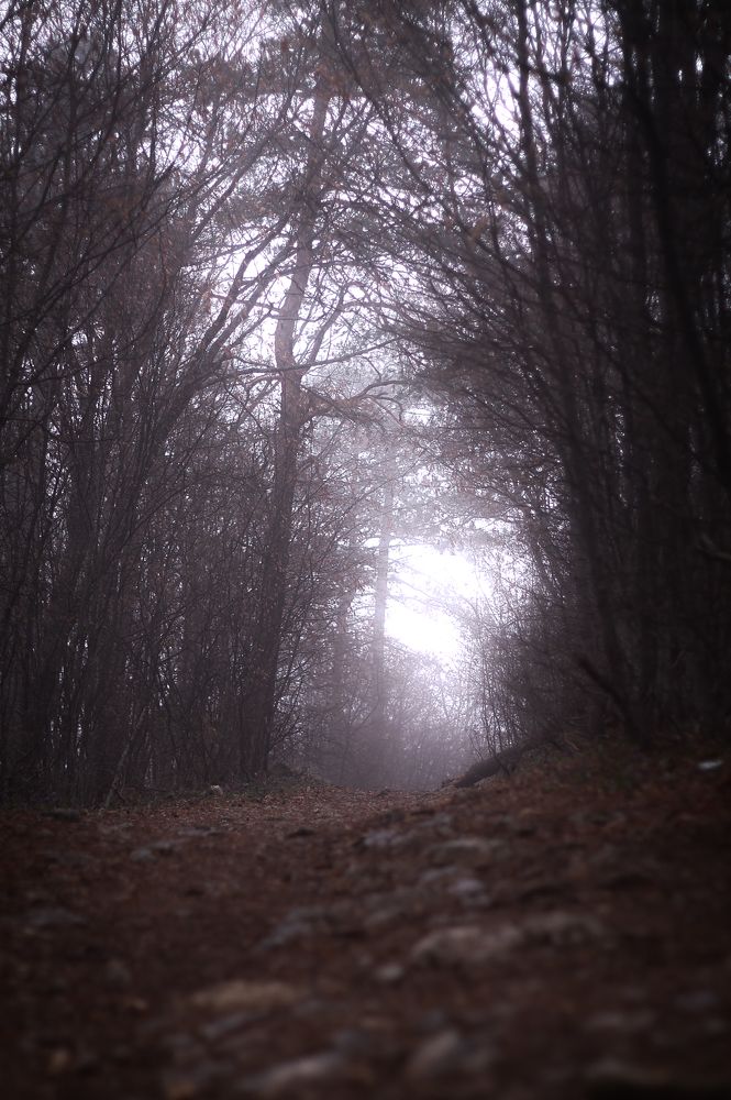 Photograph by evgeniy