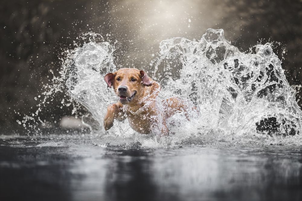 Photograph by Paula Casado Gutierrez