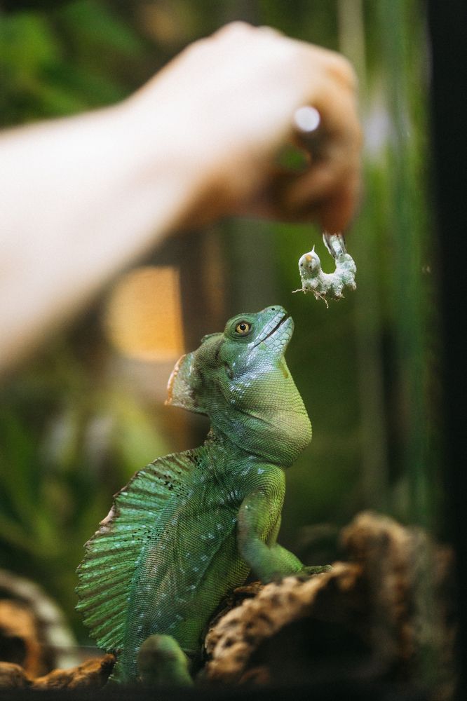 Photograph by Юлия Девятайкина