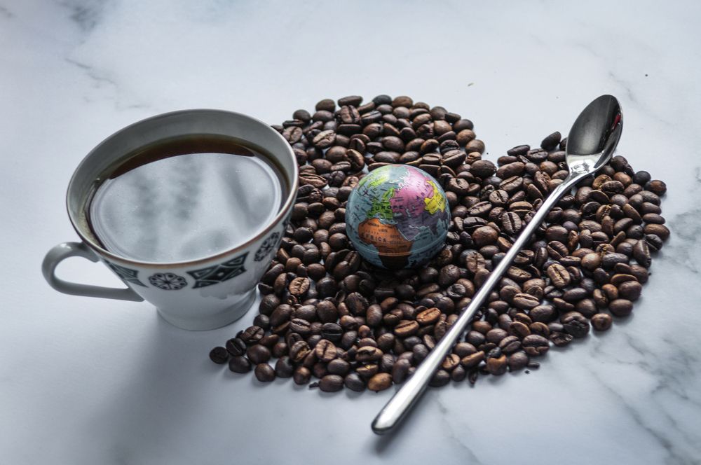 Photograph by Светлана Тарханова