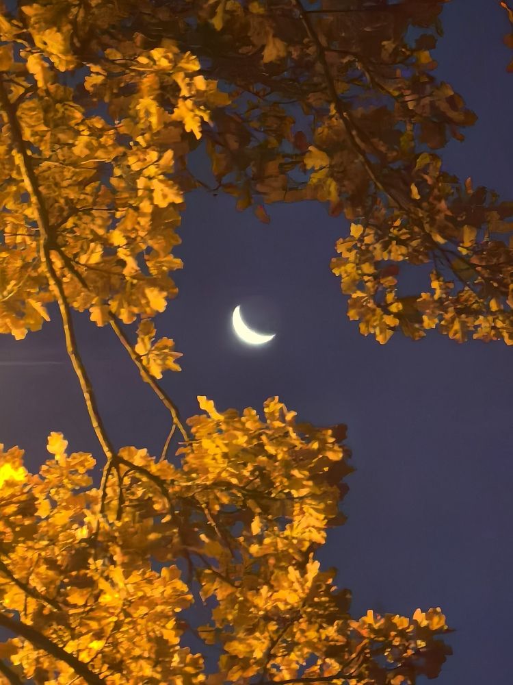 Фотография автора Иван Кириллов