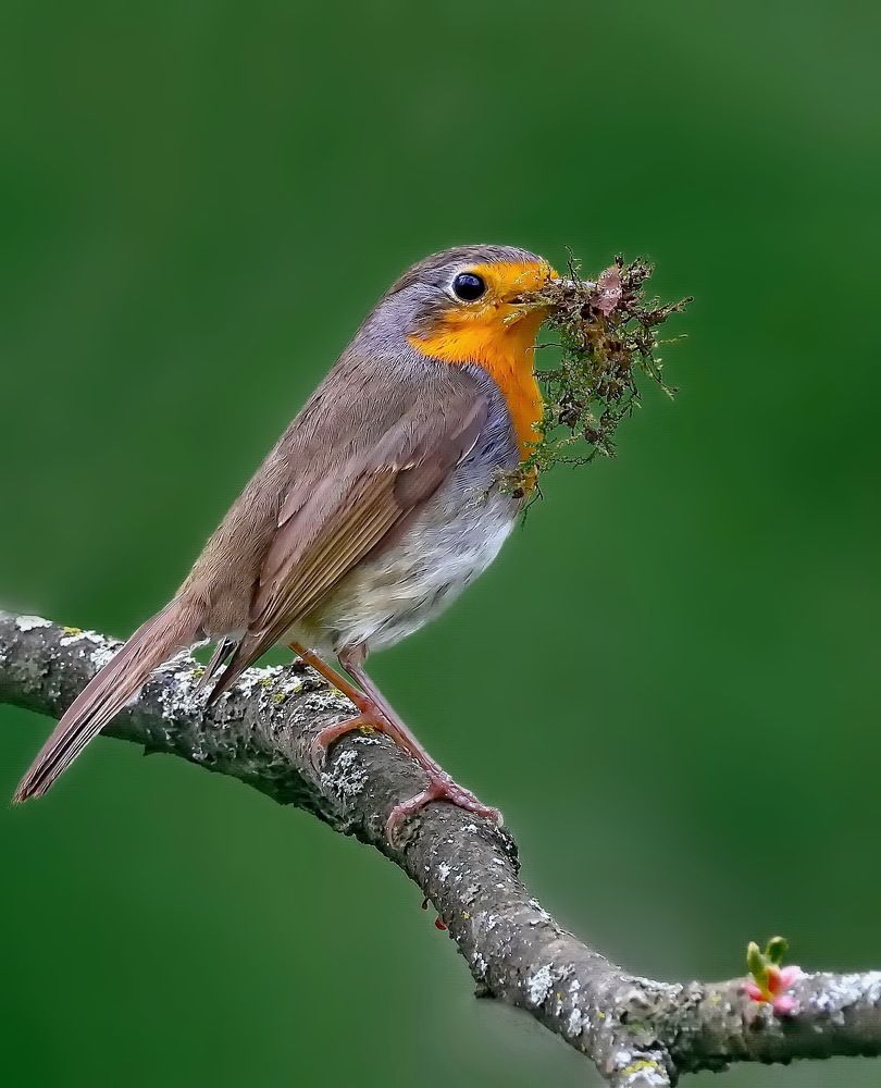 Photograph by Игорь Чеботарёв