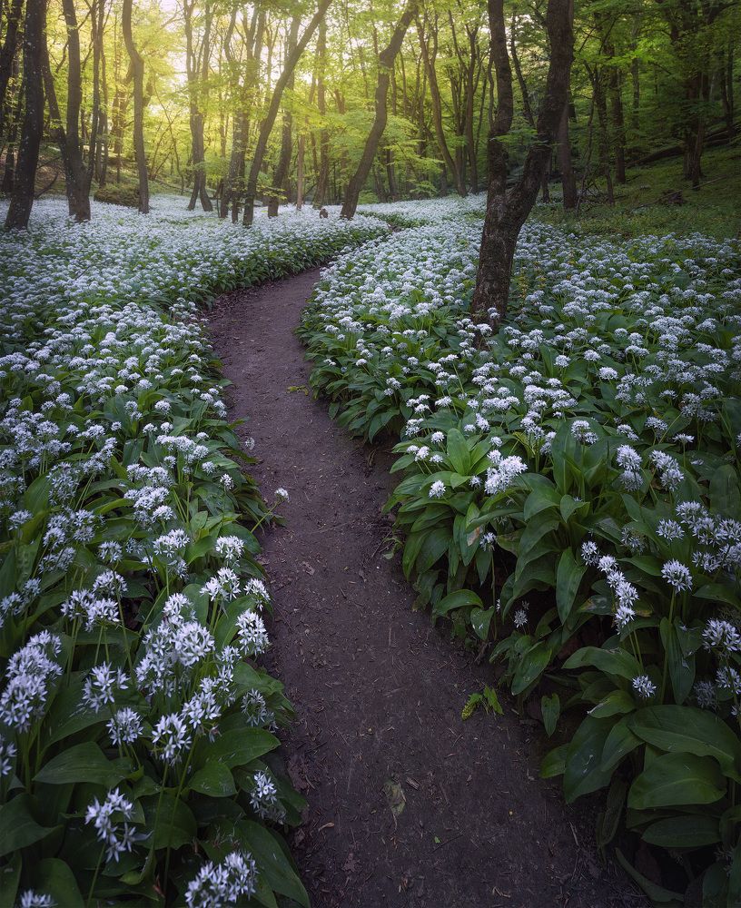 Photograph by Karádi Zita