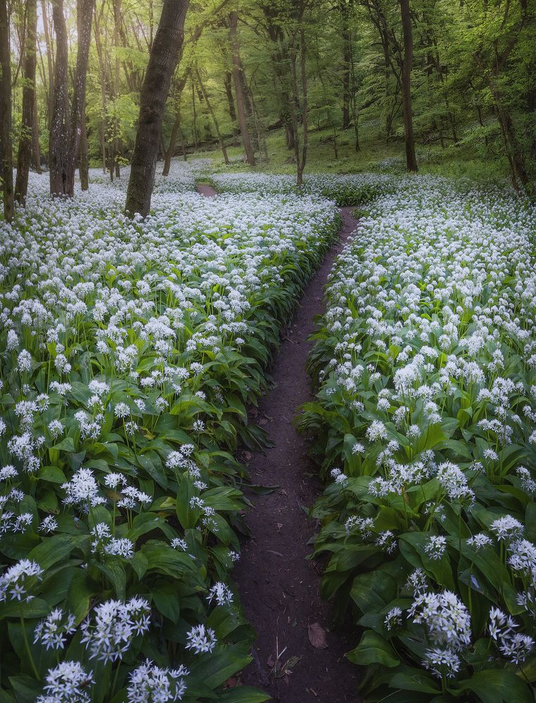Photograph by Karádi Zita