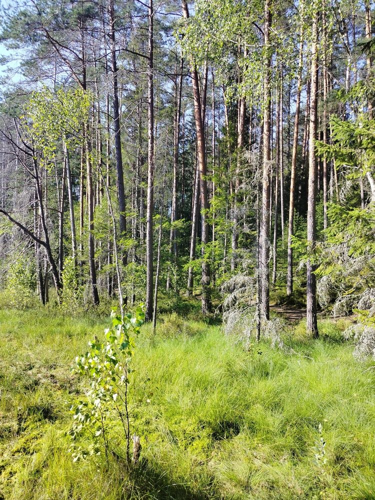 Фотография автора Наталья Драгун