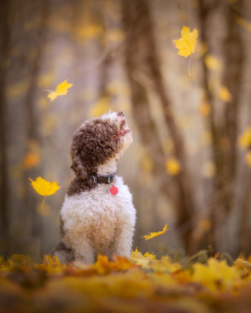 Photograph by Dmitry Ishniyazov