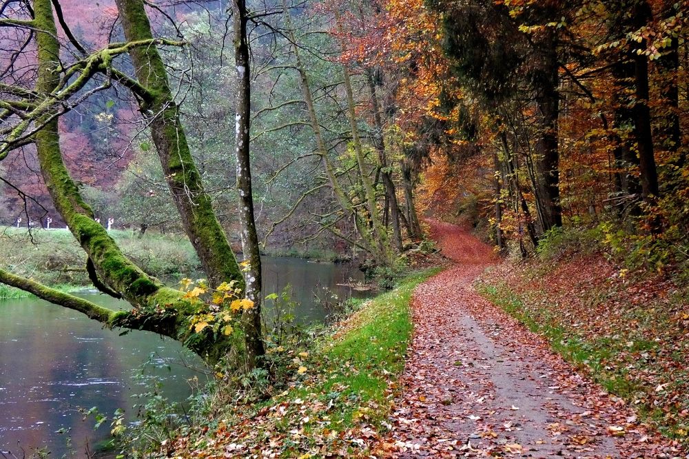 Photograph by backareva irina