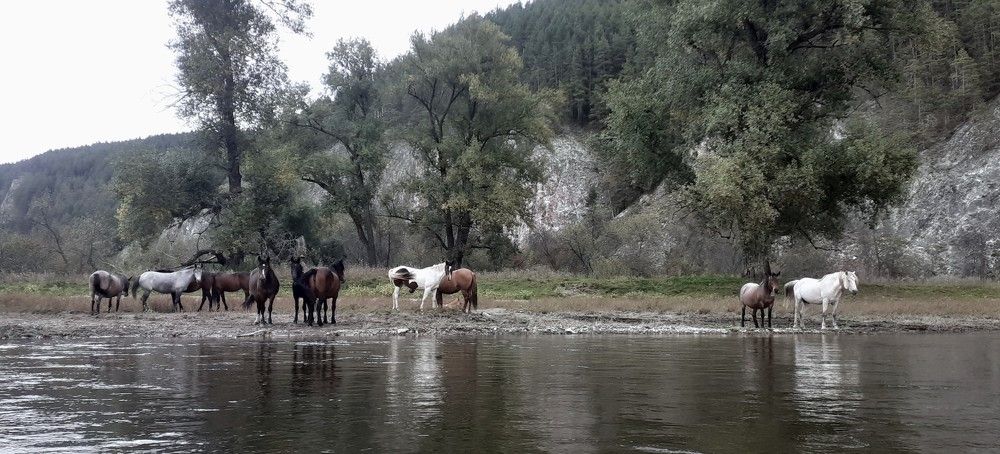 Photograph by Наталья Литовкина