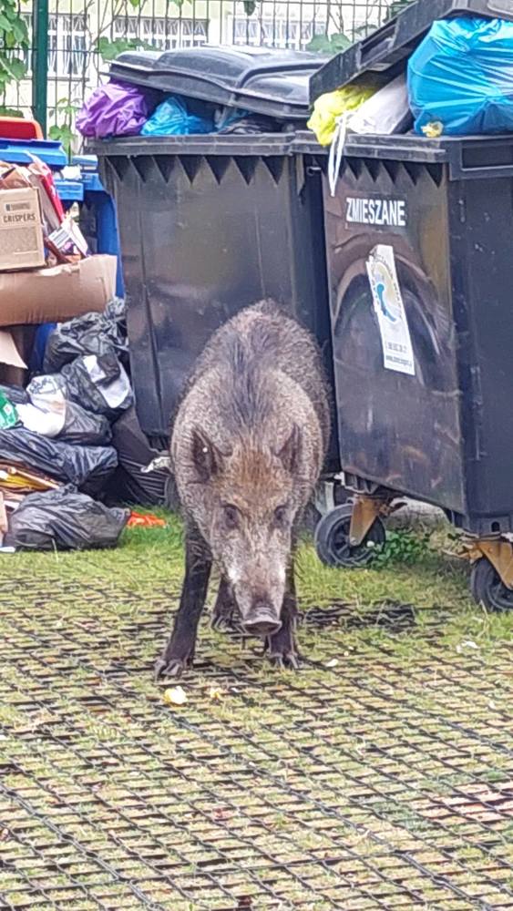 Photograph by Svitlana Usatenko