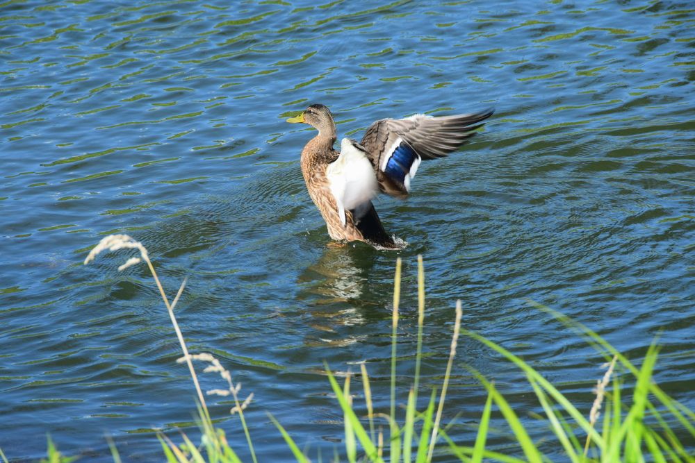 Photograph by Galina Leskova