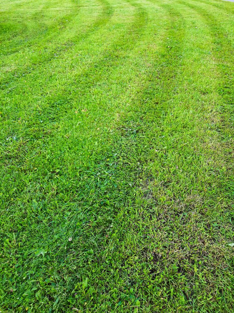 Фотография автора Светлана Дунаева