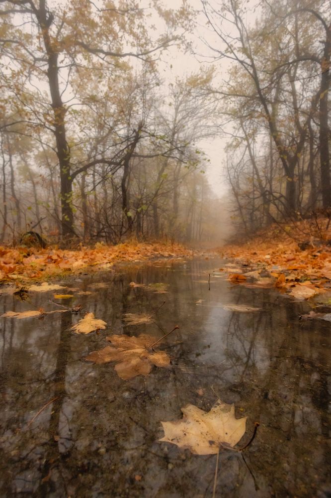 Photograph by Подосинников Максим