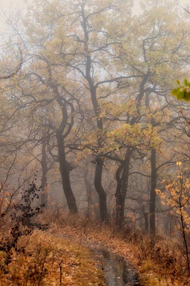 Photograph by Подосинников Максим