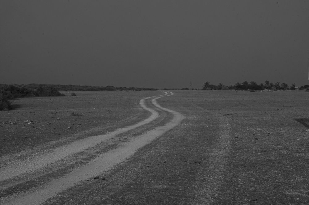 Photograph by Chamara Sulakkhana Polwatta Siriyalage